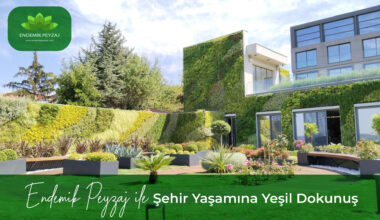 Dikey Bahçeler: Şehir Yaşamına Yeşil Dokunuş